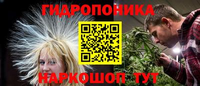 бошки Камышлов