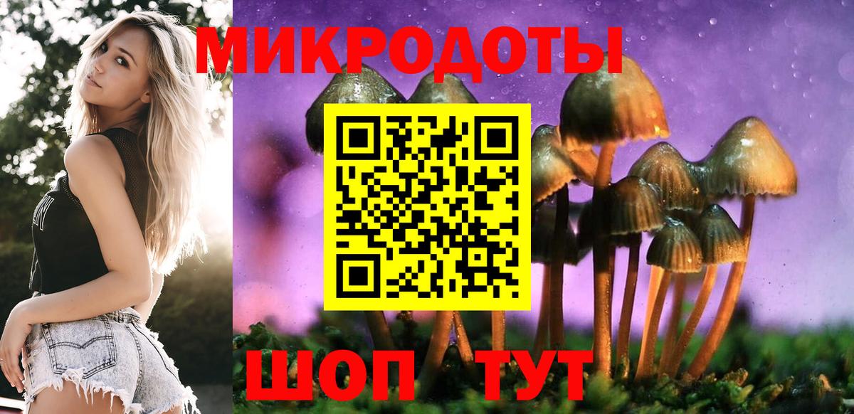 Галлюциногенные грибы Psilocybine cubensis  Вход с VPN  Юрга 