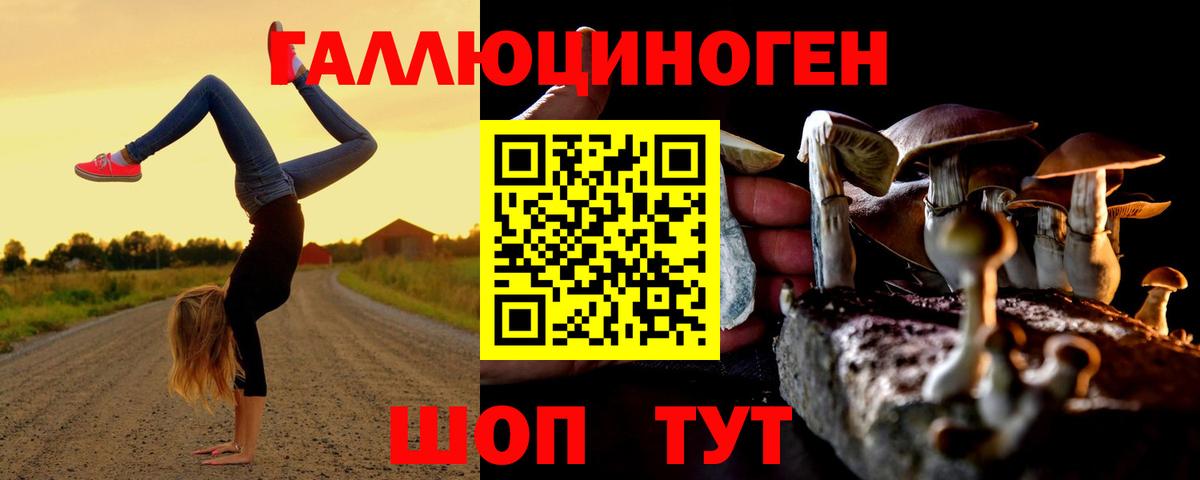Псилоцибиновые грибы Magic Shrooms Юрга